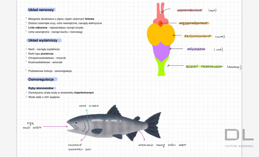 zrzut ekranu 2025 08 29 000315