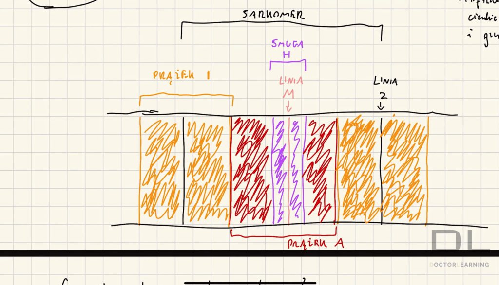 zrzut ekranu 2025 08 29 000402