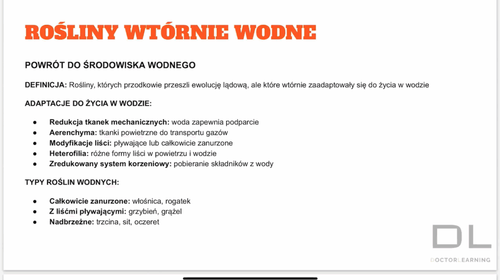 zrzut ekranu 2025 08 29 000452